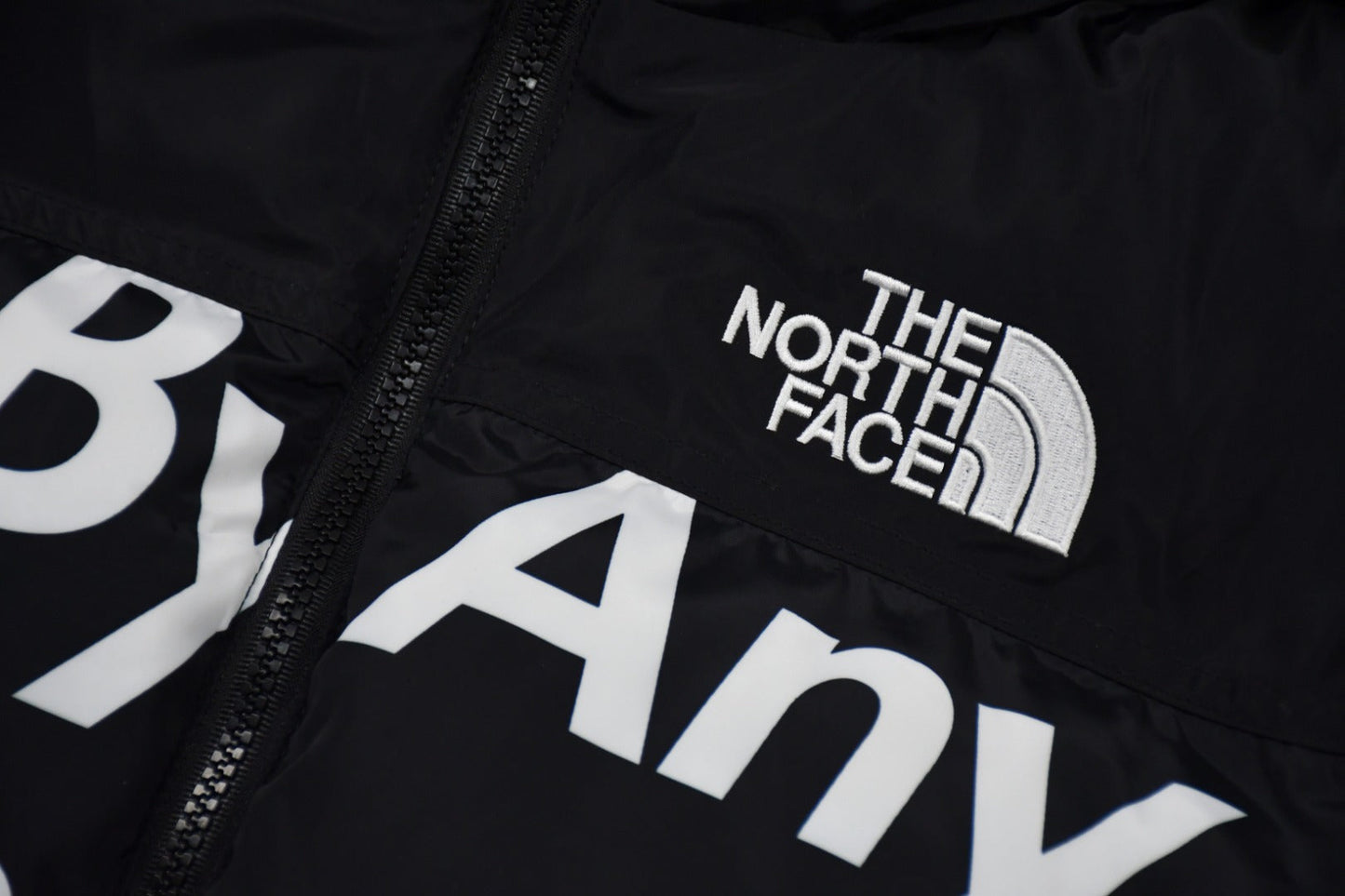 Supreme x The North Face TNF 15FW By Any Means Down Jacket
