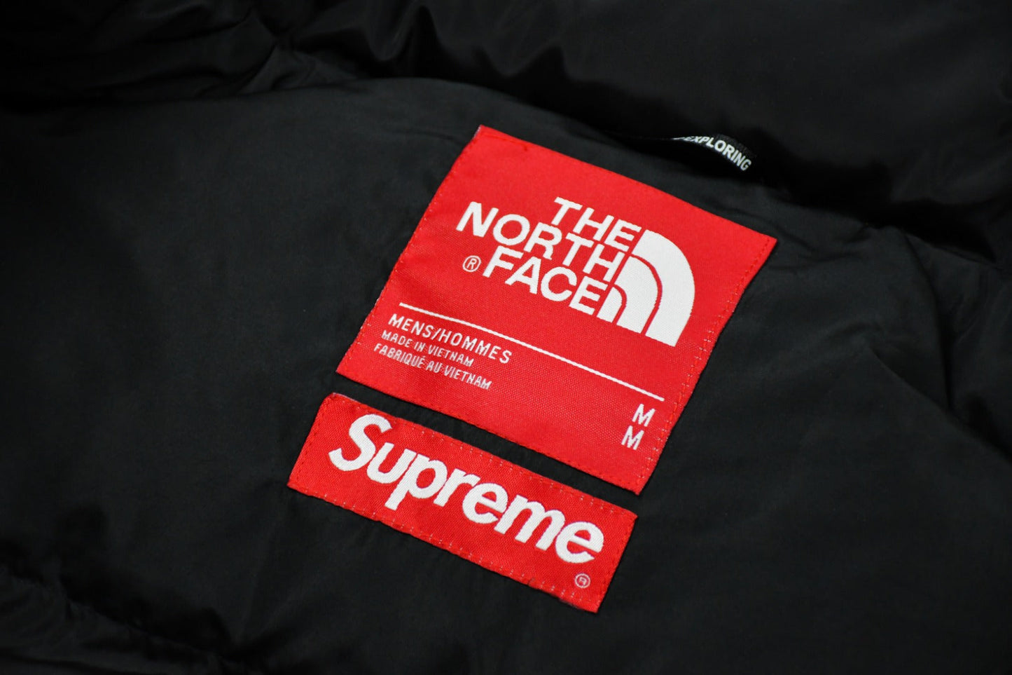 Supreme x The North Face TNF 15FW By Any Means Down Jacket
